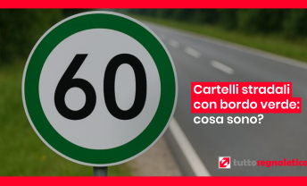 Cartelli stradali con bordo verde: cosa sono, come funzionano e quando potrebbero arrivare in Italia ❒ Tuttosegnaletica.it