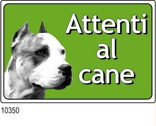 Attenti al cane mm. 300x200 ❒ Tuttosegnaletica