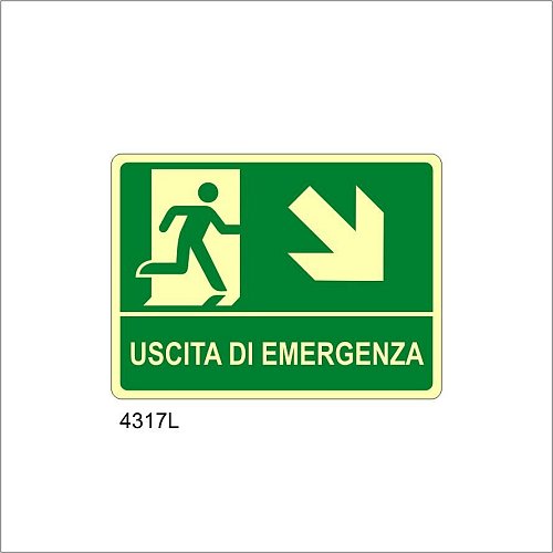 Uscita di emergenza freccia diagonale destra in basso Luminescente