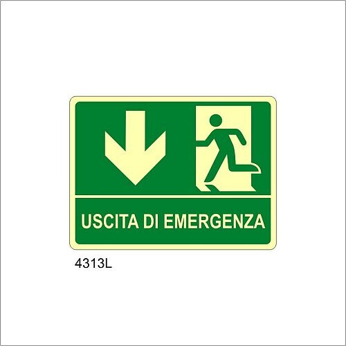 Uscita di emergenza freccia in basso Luminescente
