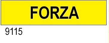 Forza - etichetta - B - PVC adesivo 250x60 mm - 5 pz