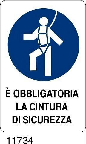E' obbligatoria la cintura di sicurezza