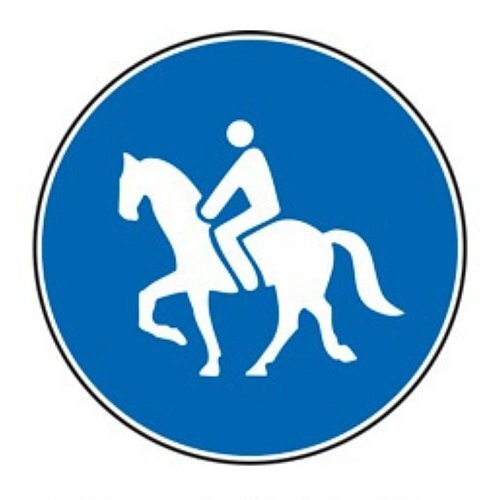 Percorso riservato ai quadrupedi da soma o da sella - B - Alluminio CL.2 60cm