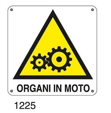 Organi in moto