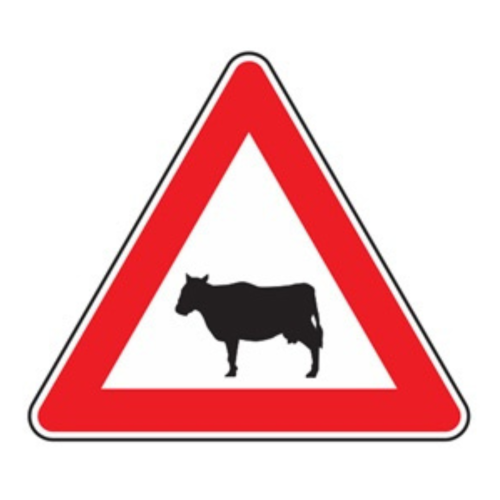 Animali domestici vaganti - A - Ferro - CL.1 60cm
