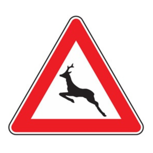 Animali selvatici vaganti